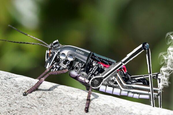 Grasshopper robot in the habitat