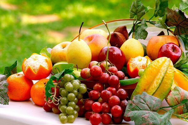 Belle nature morte de fruits et de baies