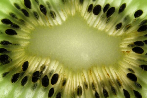 Kiwi en coupe gros plan