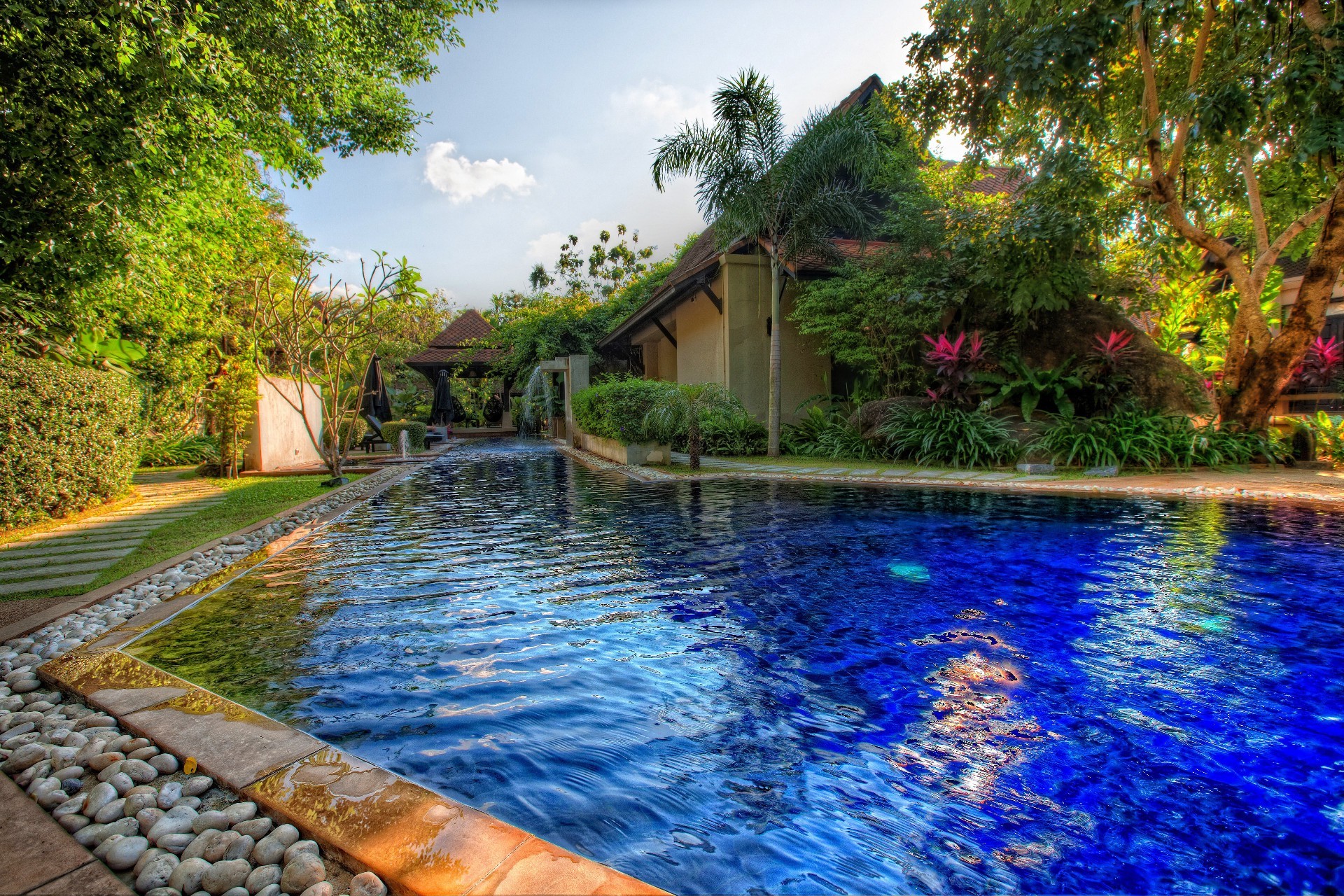 piscinas agua verano viajes tropical árbol piscina naturaleza vacaciones resort madera hotel lujo jardín natación río al aire libre relajación hermoso paraíso