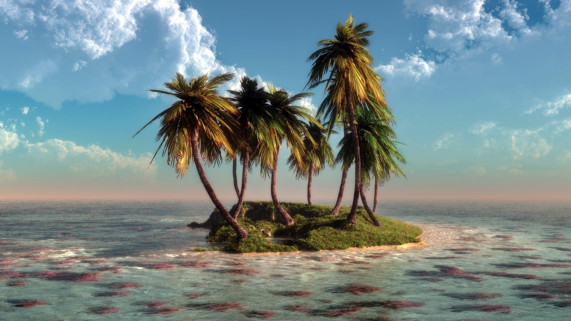 palme e tropici spiaggia acqua mare tropicale oceano sabbia mare viaggi estate cielo vacanza isola sole paesaggio esotico paradiso idillio natura