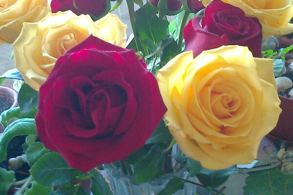 A bright bouquet of red and yellow roses