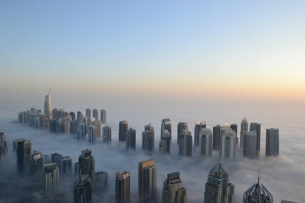 Фото множества небоскребов в тумане