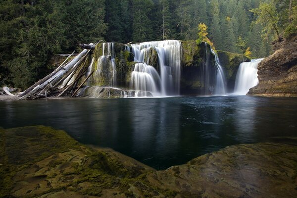 Cascade de montagne et lac forestier