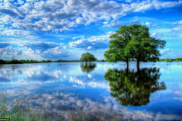 Bellissimo paesaggio del fiume e del cielo