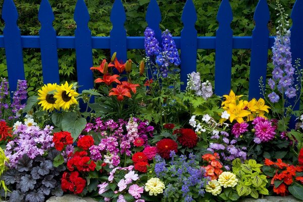 Bonito Jardín delantero. Las flores de la abuela