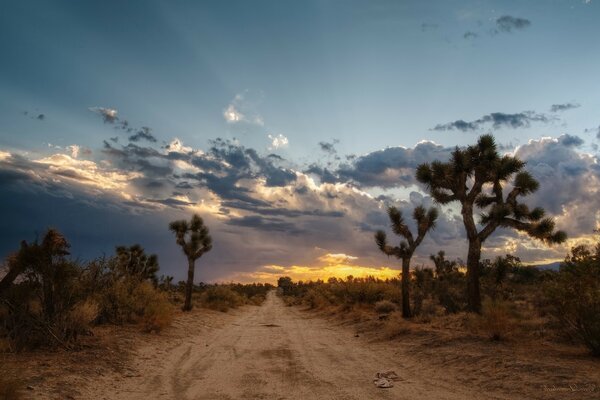 Beautiful sky over the road in the desert