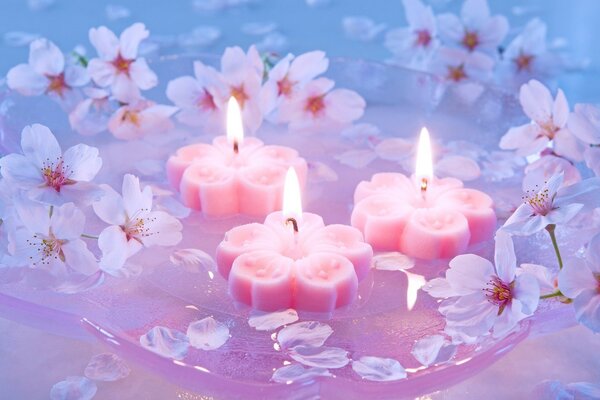 Romantic picture. Candles and flowers on the water