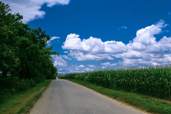 The road along the green field and the blue sky