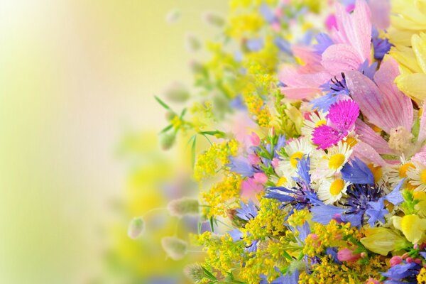 Belo buquê de flores silvestres de Verão