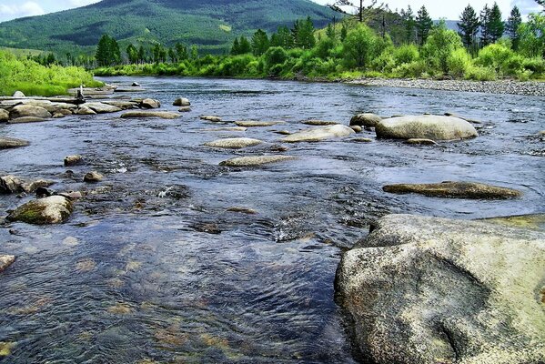 Il fiume di montagna è sorprendentemente bello