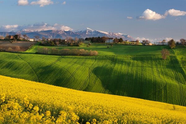 Vue sur les vastes champs, les prairies et les vallées