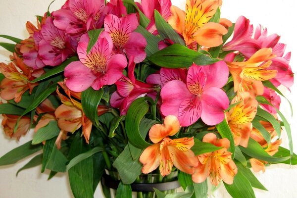 粉红色和橙色的花朵美丽的花束