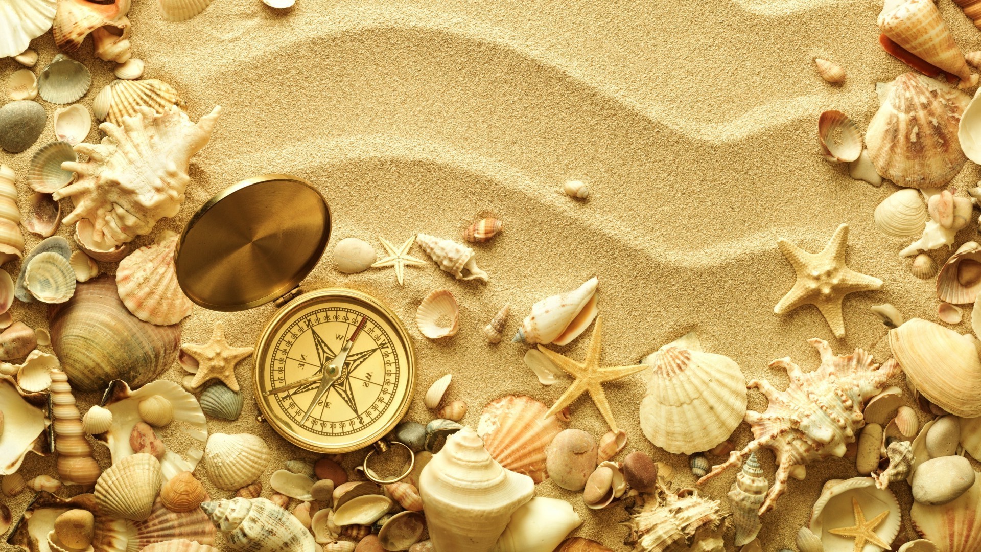 контрасты ракушек оболочка пляж морская звезда песок моря рабочего стола морской украшения море золото конч текстура сувенир отпуск формы природа дизайн
