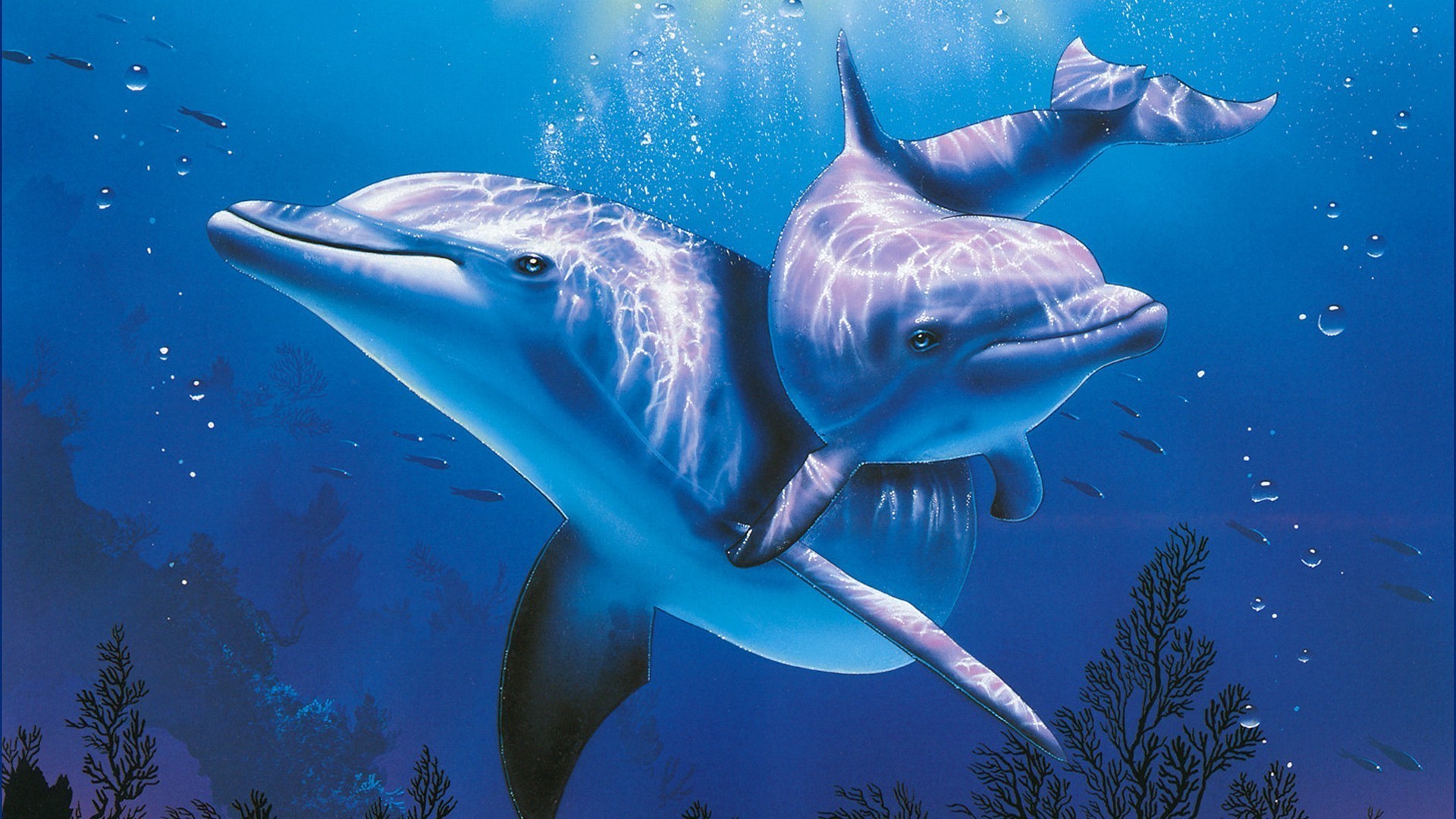 животные подводный рыбы шарк плавание океан дайвинг воды воздуходувки дельфин аквариум море природа кит подводная лодка морской коралловый риф