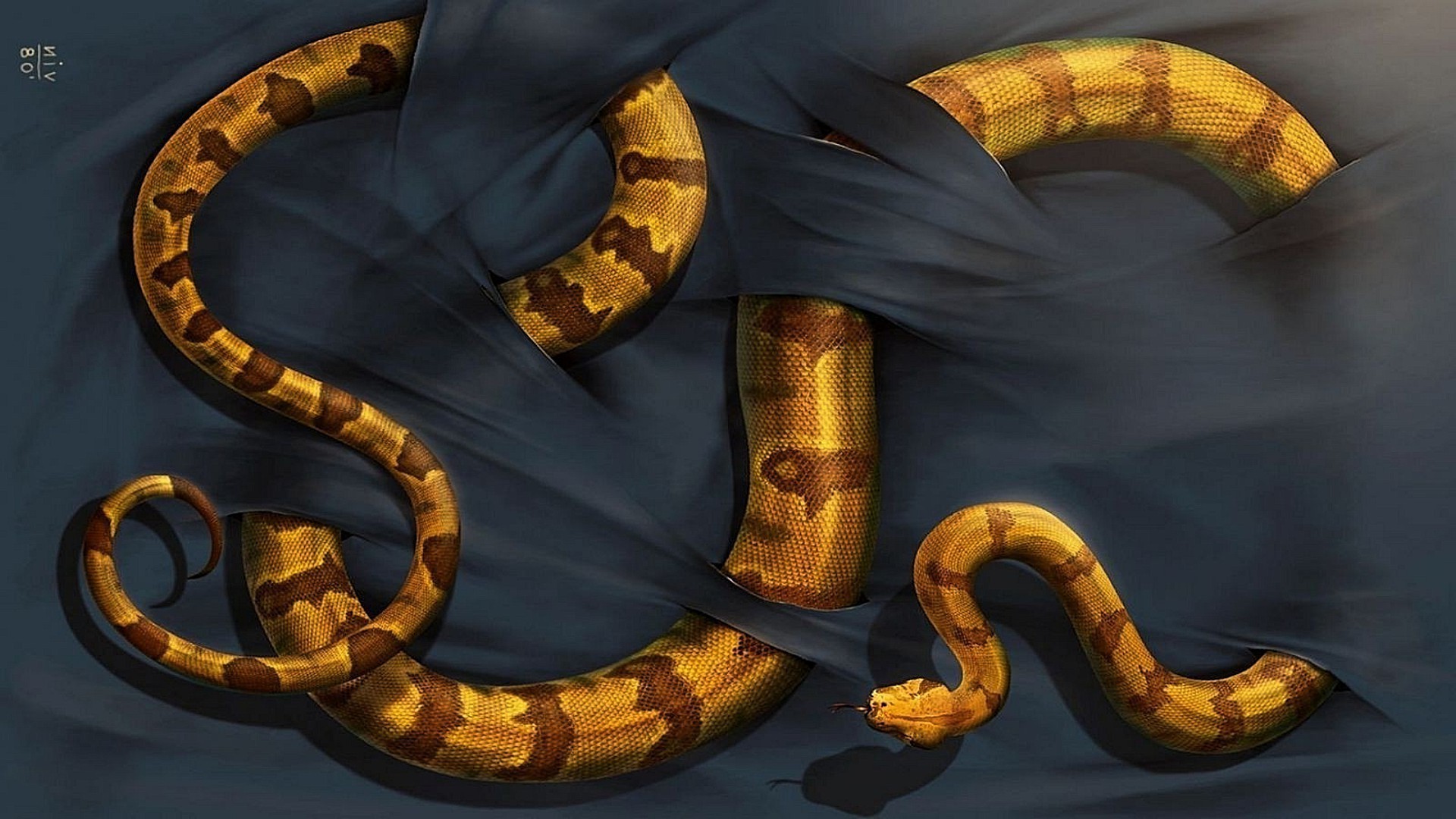 animals snake reptile python feather boa cobra danger poison viper exotic pattern symbol venom zoology desktop gold juvenile art biology illustration