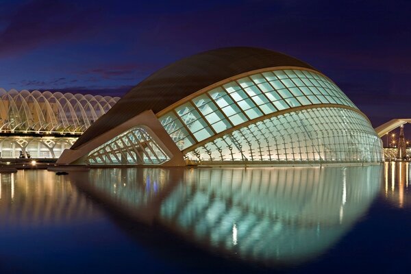 Città delle scienze a Valencia di notte