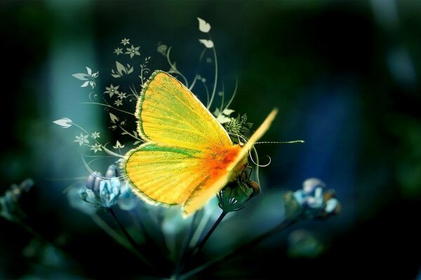 Una mariposa amarilla iluminada se sienta en pequeñas flores sobre un fondo oscuro