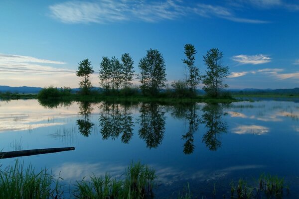 Soirée d été sur la rivière