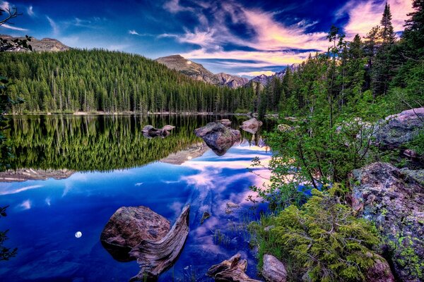 River with forest on the banks