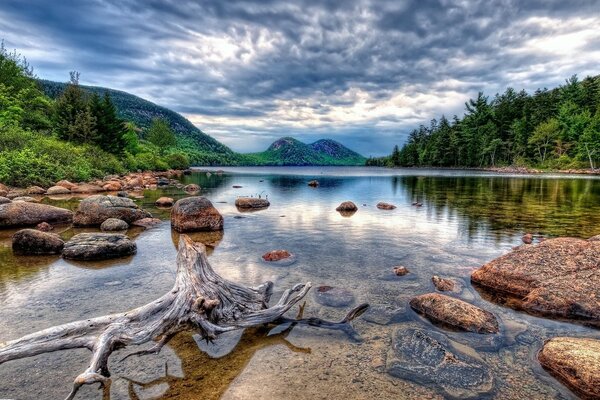美丽的风景。 森林里的湖