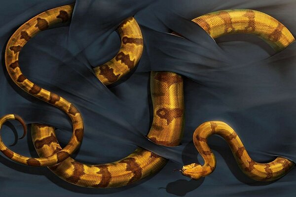 Snake in ribbons. Image with Pete