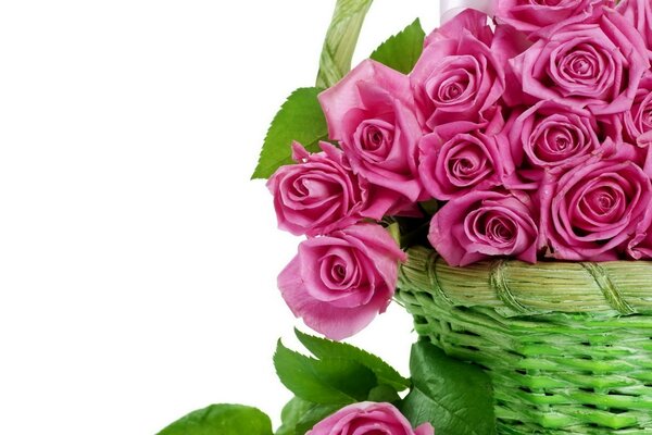 Basket with beautiful pink roses