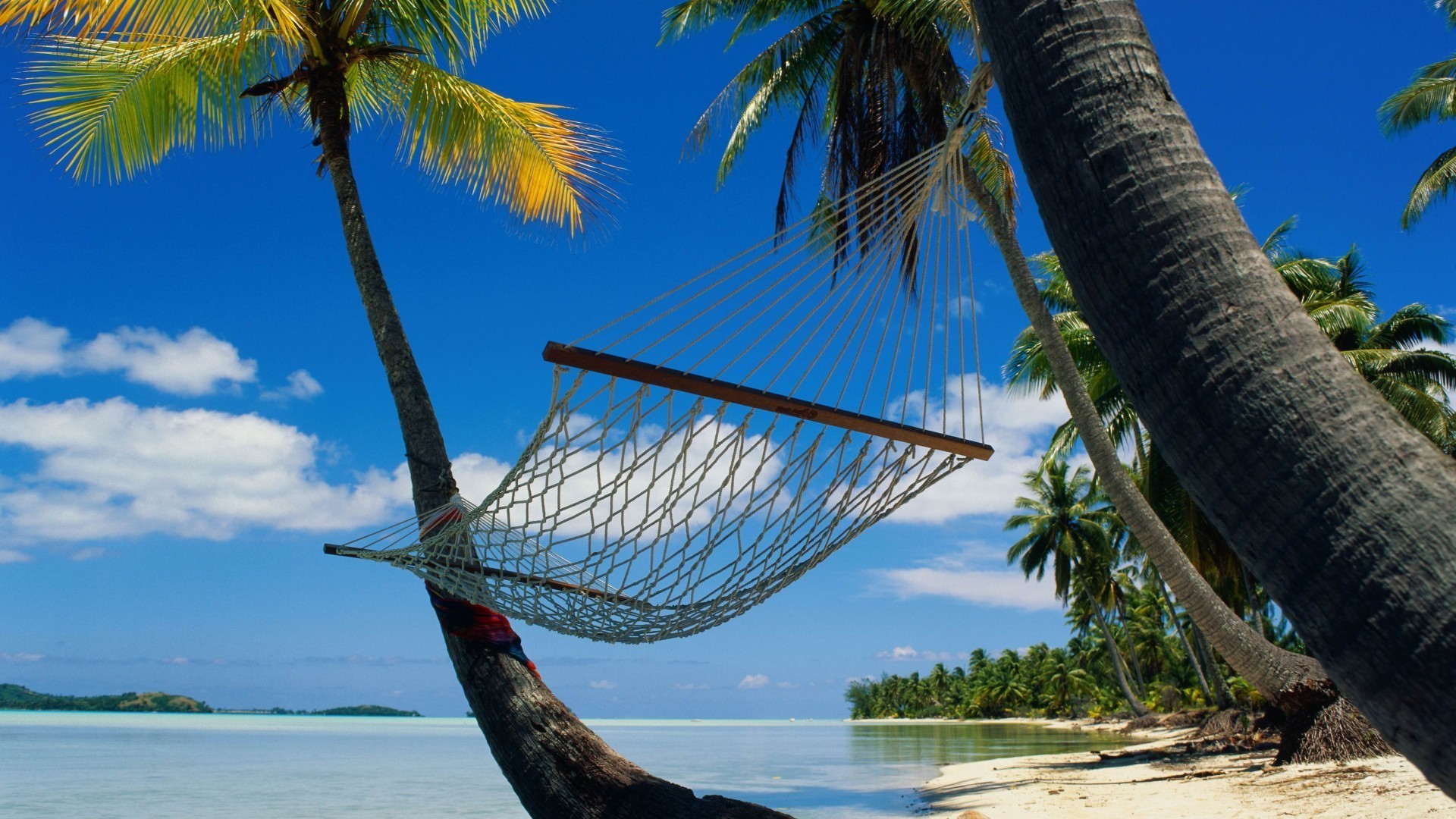 sea and ocean tropical beach palm exotic water sand ocean summer travel seashore vacation paradise coconut island resort sky relaxation tree idyllic