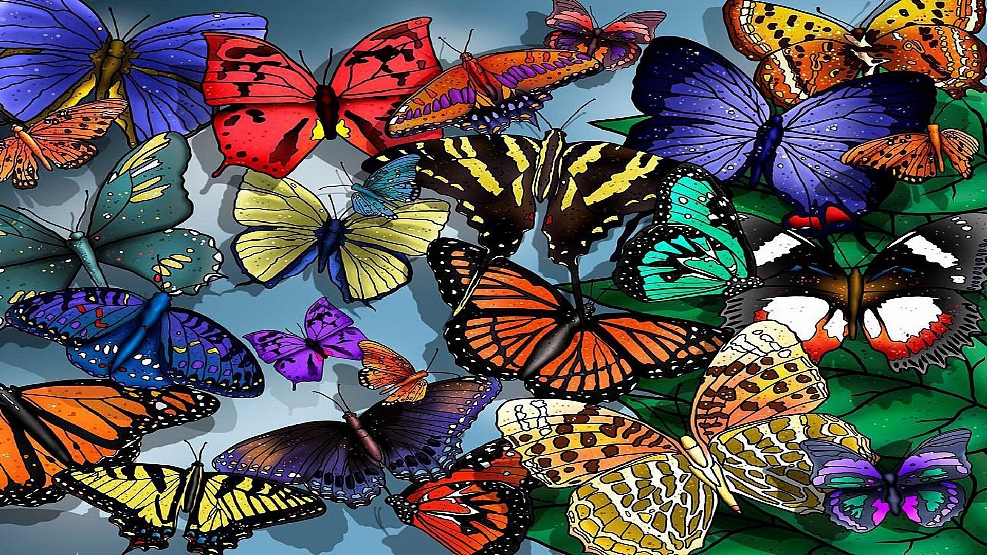 Обои на стол бабочки. Красивые бабочки. Разноцветные бабочки. Много бабочек. Бабочки цветные.