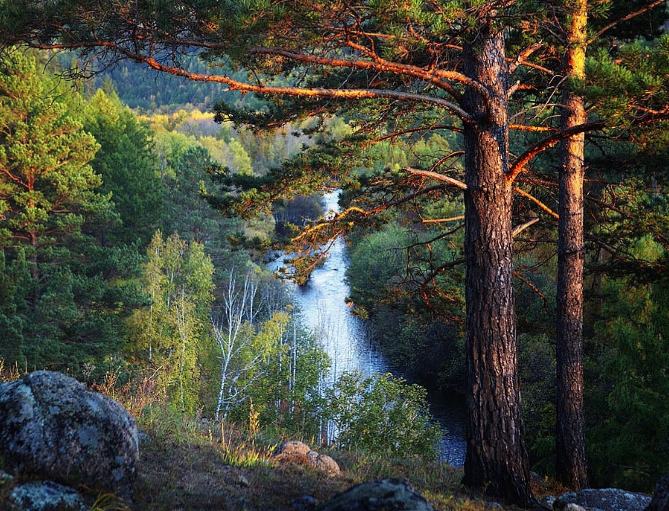 forêt bois eau paysage automne arbre nature à l extérieur rivière voyage conifères feuille lac parc scénique aube evergreen sauvage