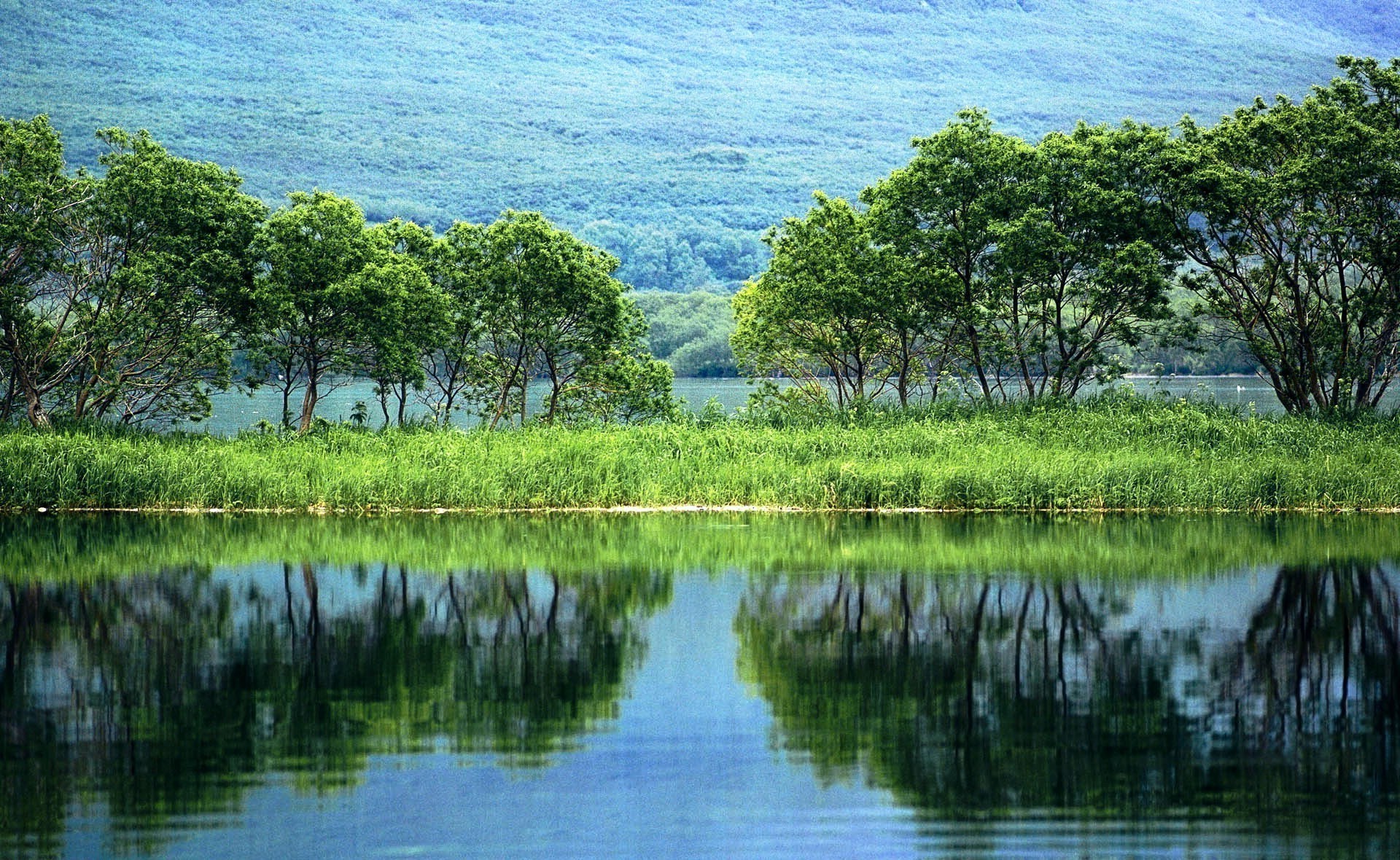 озера воды природа отражение река пейзаж лето небо дерево древесины тропический бассейн трава хладнокровие мангровые на открытом воздухе сельских красивые путешествия