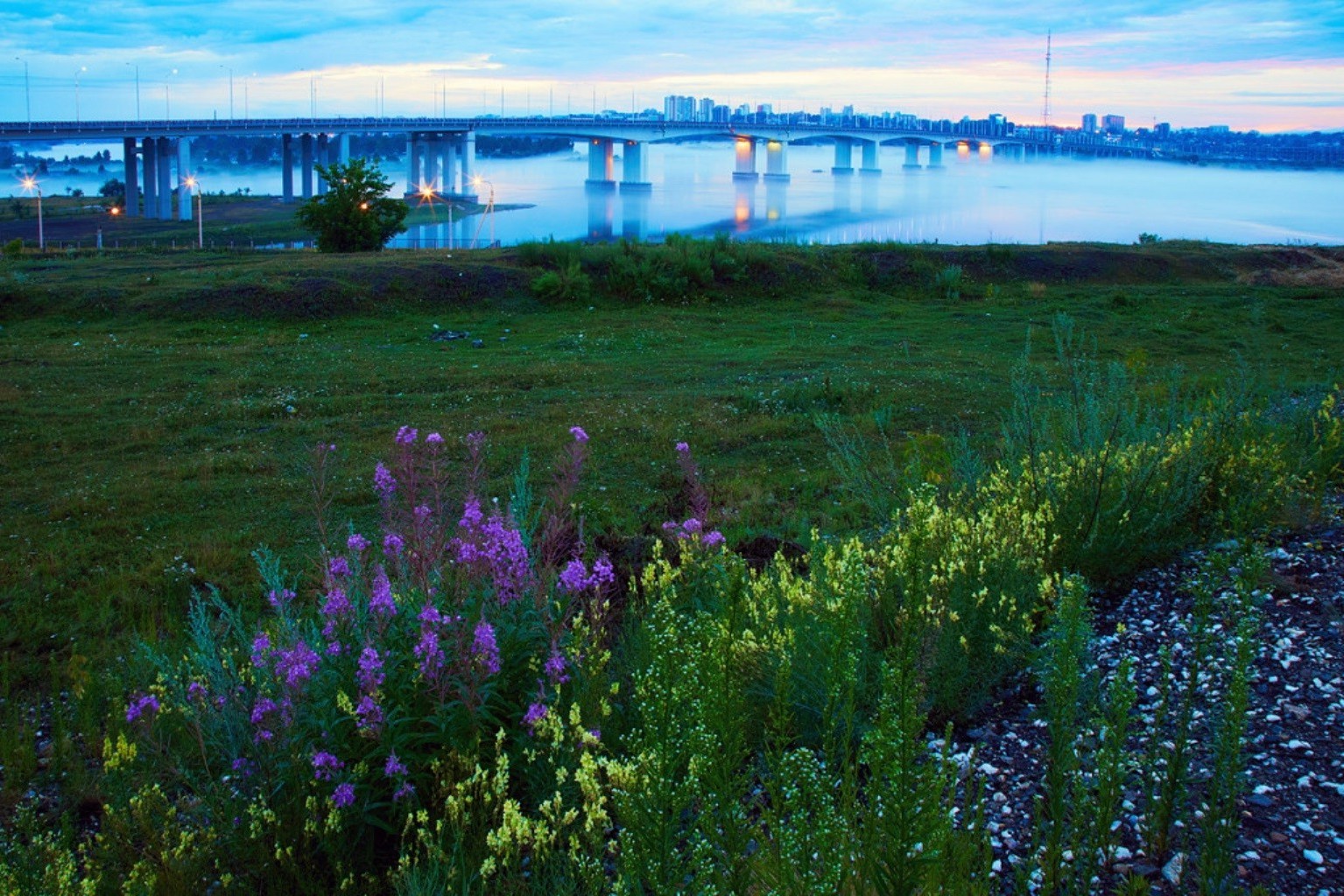 ponts paysage nature fleur à l extérieur aube eau été foin herbe rural campagne scénique flore champ couleur ciel saison