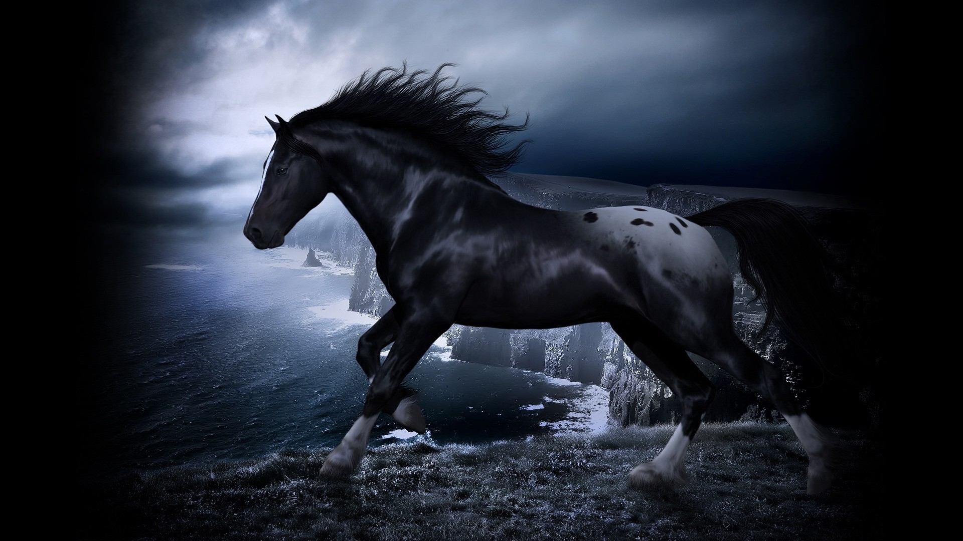 лошади конница маре лошадь млекопитающее монохромный жеребец коневодство мустанг сидит конный один пони животное скаковая лошадь мане гонки