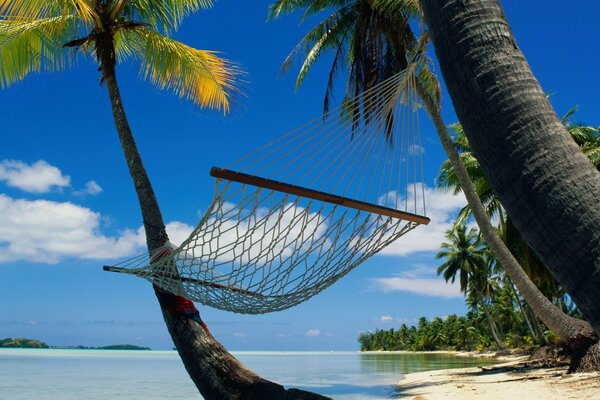 Hammock on the background of the beach and the calm ocean