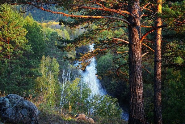 Beautiful waterfall on the background of a wild forest