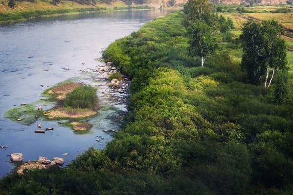 नदी द्वारा पेड़ों के परिदृश्य के प्रसिद्ध स्थान