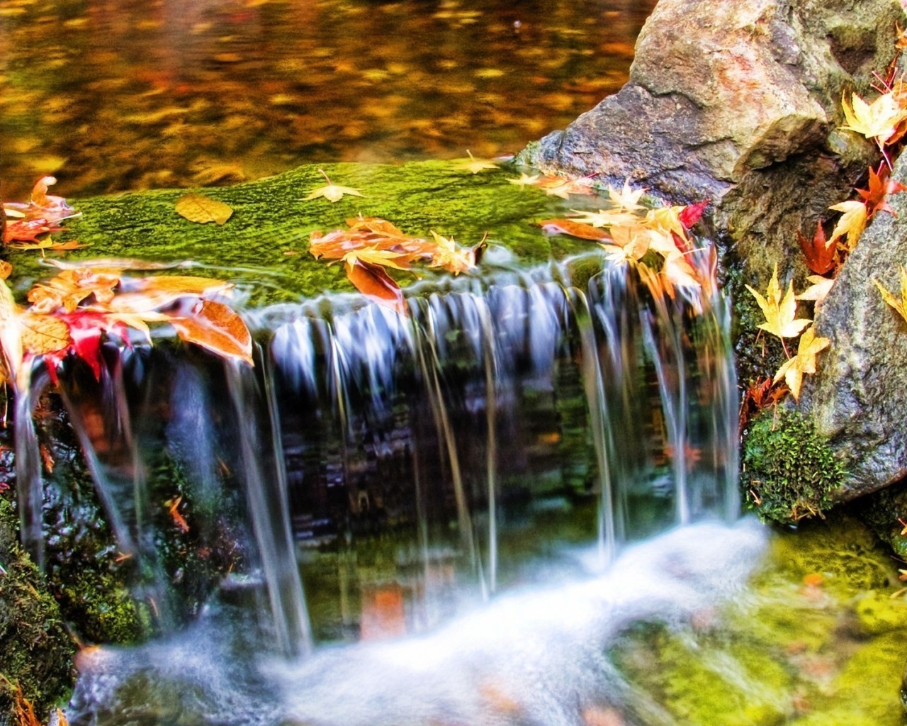 cascadas cascada otoño agua naturaleza cascada río hoja mojado desenfoque corriente al aire libre madera splash grito musgo parque corriente tráfico