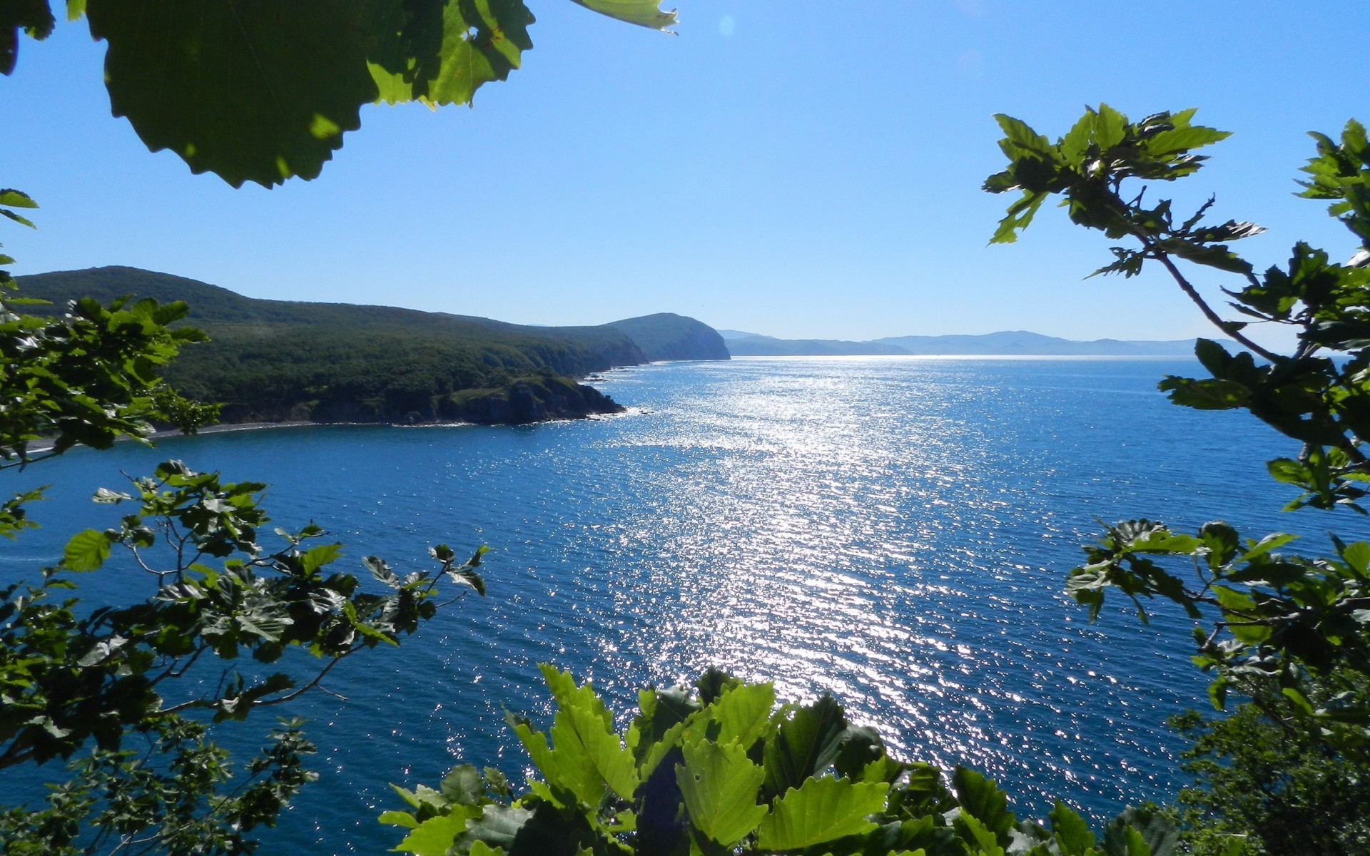 mer et océan eau nature arbre été voyage paysage à l extérieur ciel mer feuille plage mer île soleil