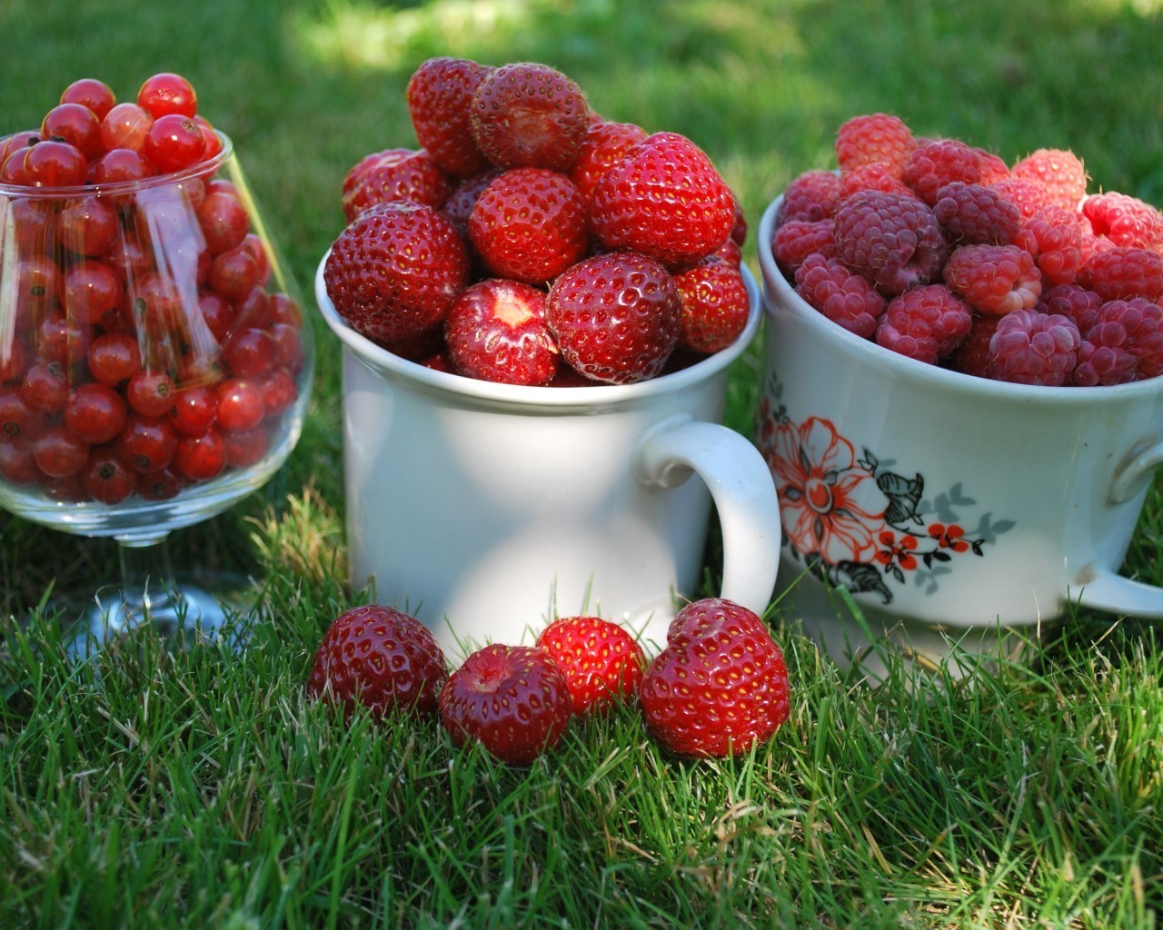 bagas baga frutas framboesas doce saudável comida suculento dieta tigela delicioso saúde frescura morango comida refresco delicioso verão frutado close-up madeira