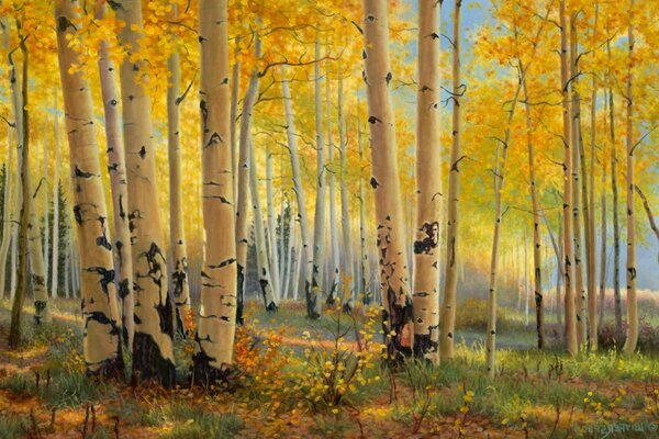 Bright autumn birch forest