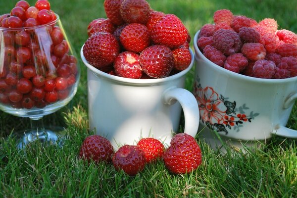 La fruta de la abuela en el Jardín