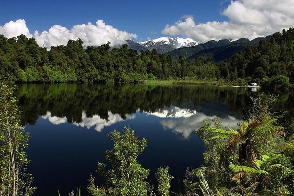 Bela natureza. Lago chique