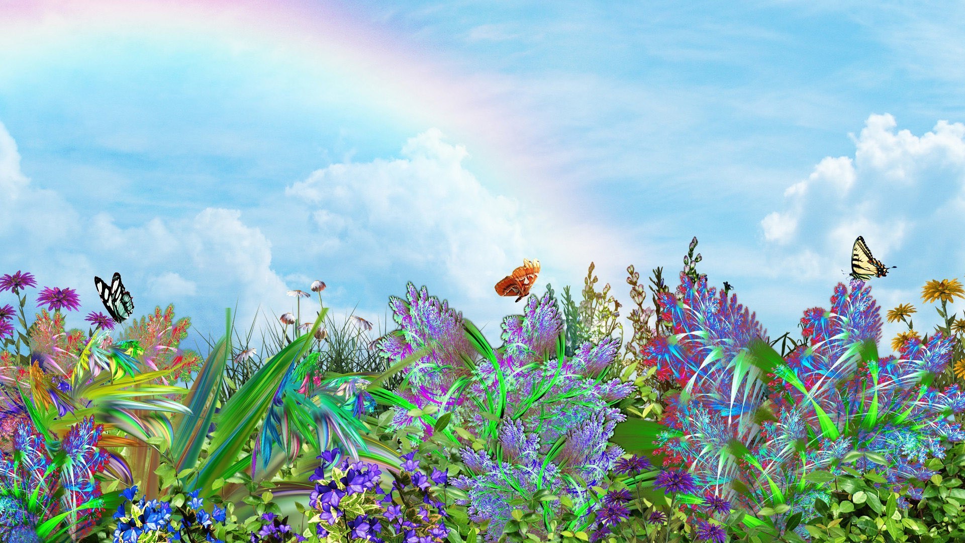 flowers nature summer flower flora field hayfield grass season leaf color beautiful bright garden sky floral park landscape desktop environment