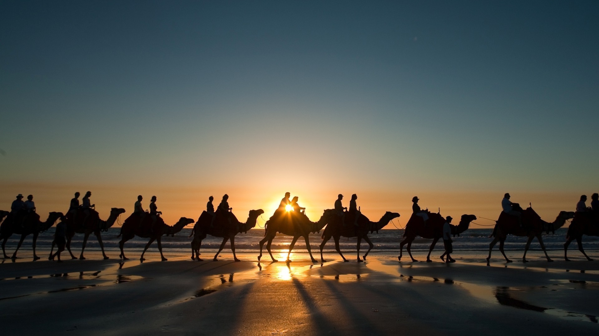 tiere sonnenuntergang dämmerung silhouette reisen abend dämmerung hintergrundbeleuchtung sonne wasser strand himmel gruppe im freien