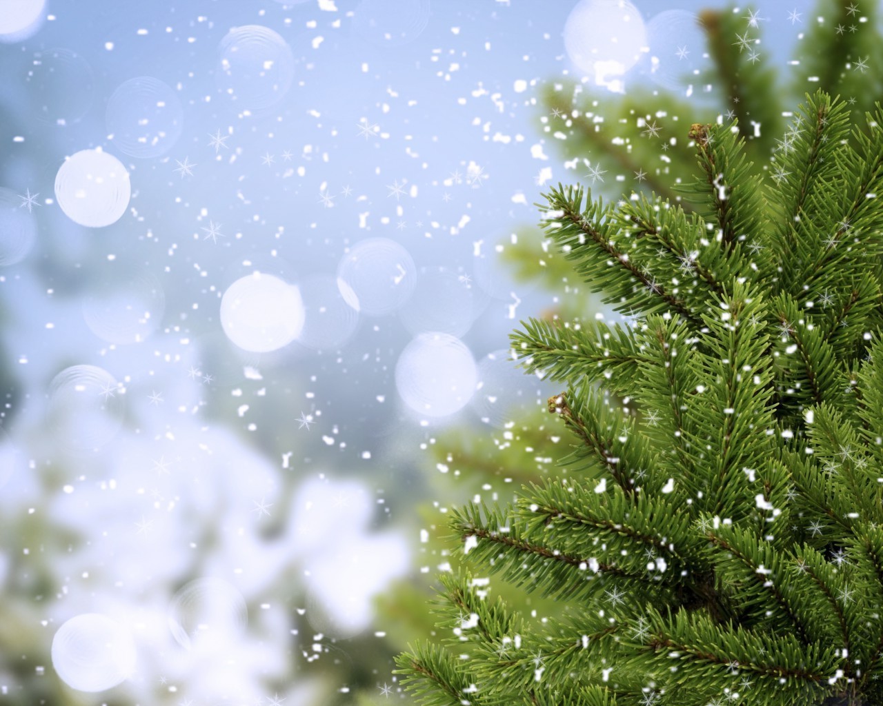 зима рождество сосна дерево пихта сезон снег украшения праздник мерри ели яркий филиал светит природа рабочего стола снежинка блестят эвергрин ева