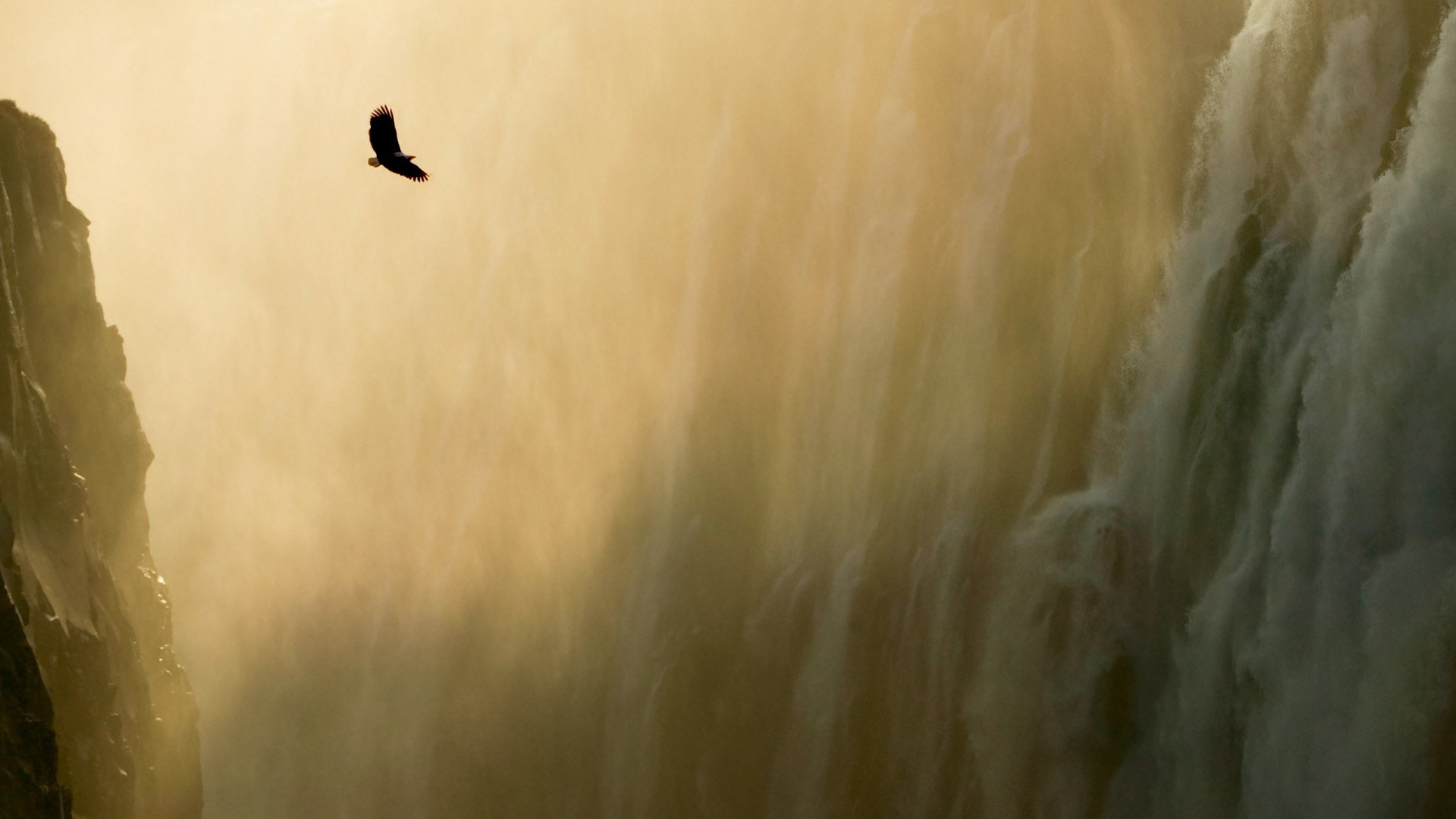 waterfalls sunset blur landscape abstract bird art nature outdoors dawn water