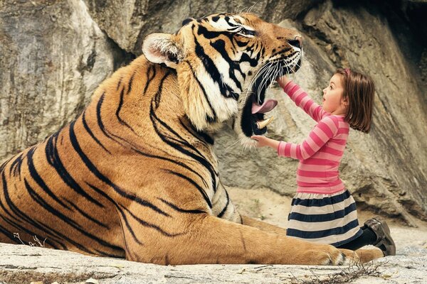 The girl touches the tiger s mouth