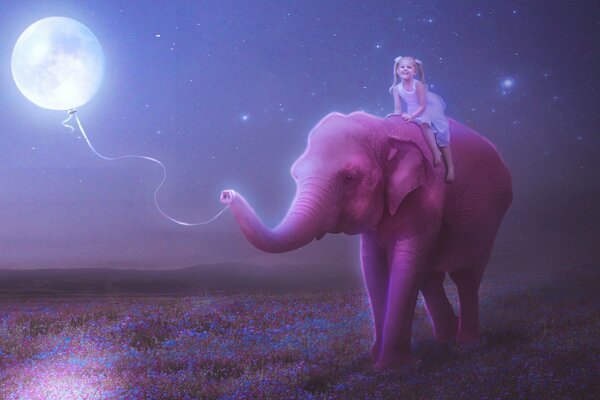 A girl on an elephant. Flower after