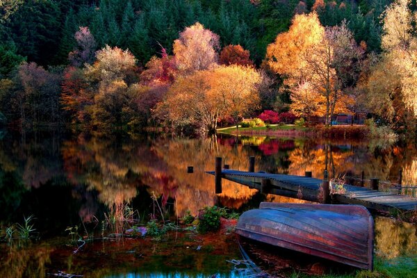 Bella foto della natura autunnale