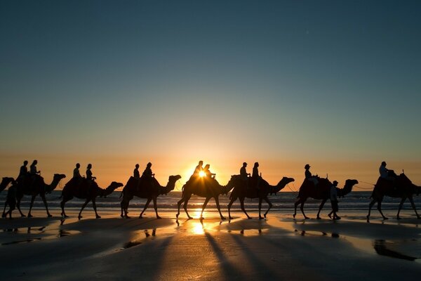 Caravan on the background of the setting sun